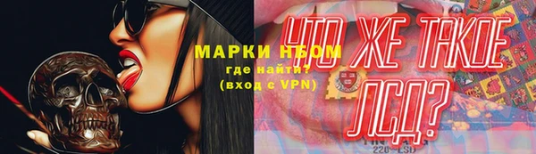 прущие грибы Белоозёрский