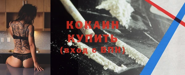 прущие грибы Белоозёрский