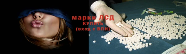 прущие грибы Белоозёрский