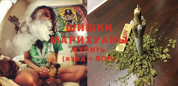 прущие грибы Белоозёрский