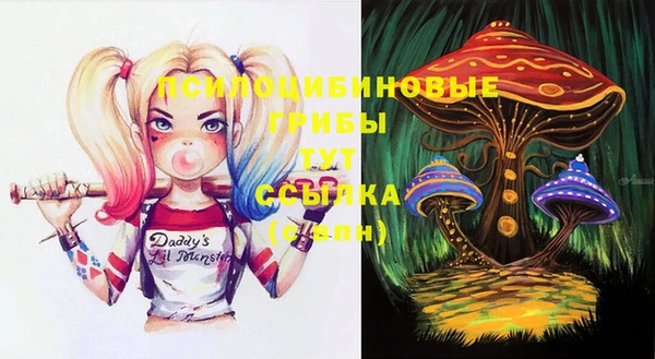 спайс Белокуриха