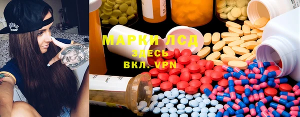 прущие грибы Белоозёрский
